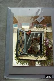 cat butterfly watching